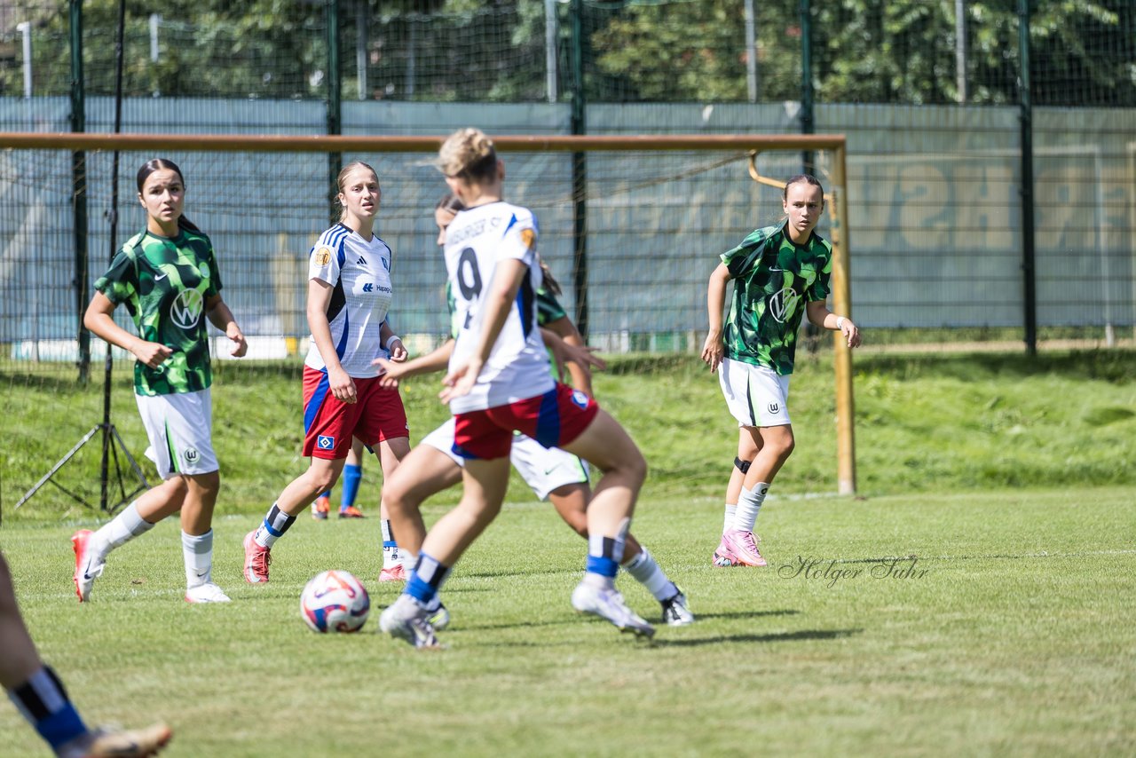 Bild 227 - wBJ Hamburger SV - VfL Wolfsburg : Ergebnis: 5:1